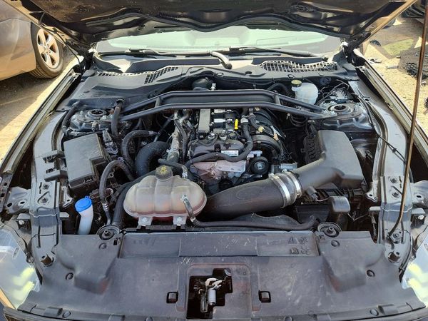 2022 FORD MUSTANG I4 Coupe