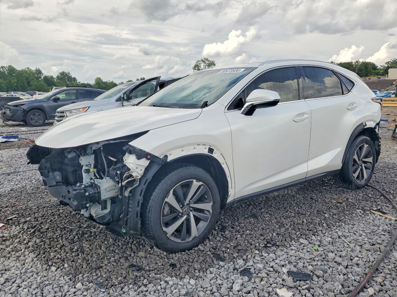 2019 LEXUS NX 300 300 Luxury