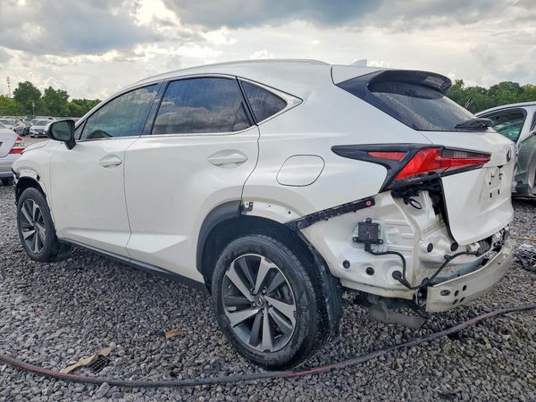 2019 LEXUS NX 300 300 Luxury