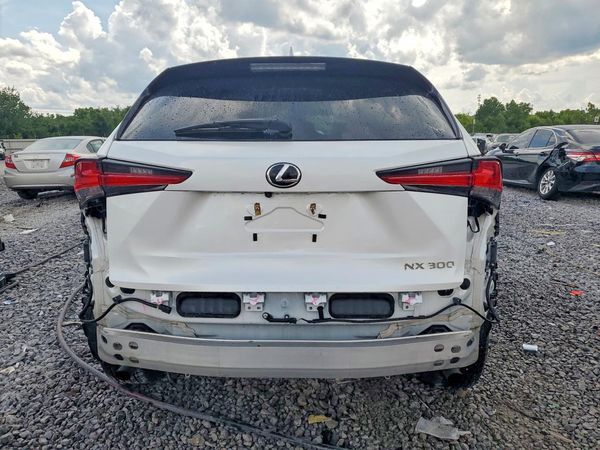 2019 LEXUS NX 300 300 Luxury