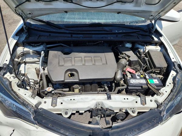 2019 TOYOTA COROLLA L/LE/SE/XLE/XSE