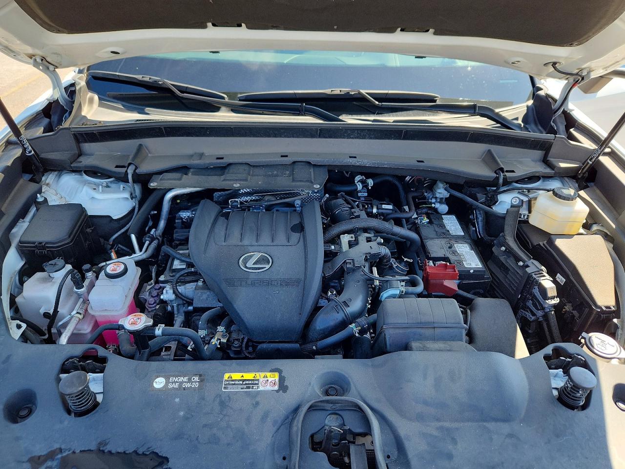 2024 LEXUS TX 350