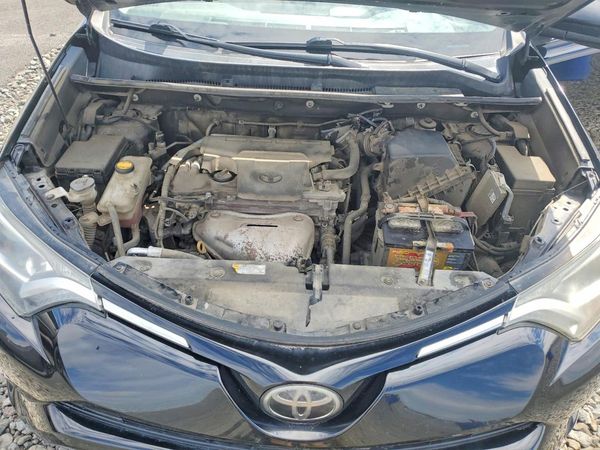 2016 TOYOTA RAV4 XLE (M Grade)