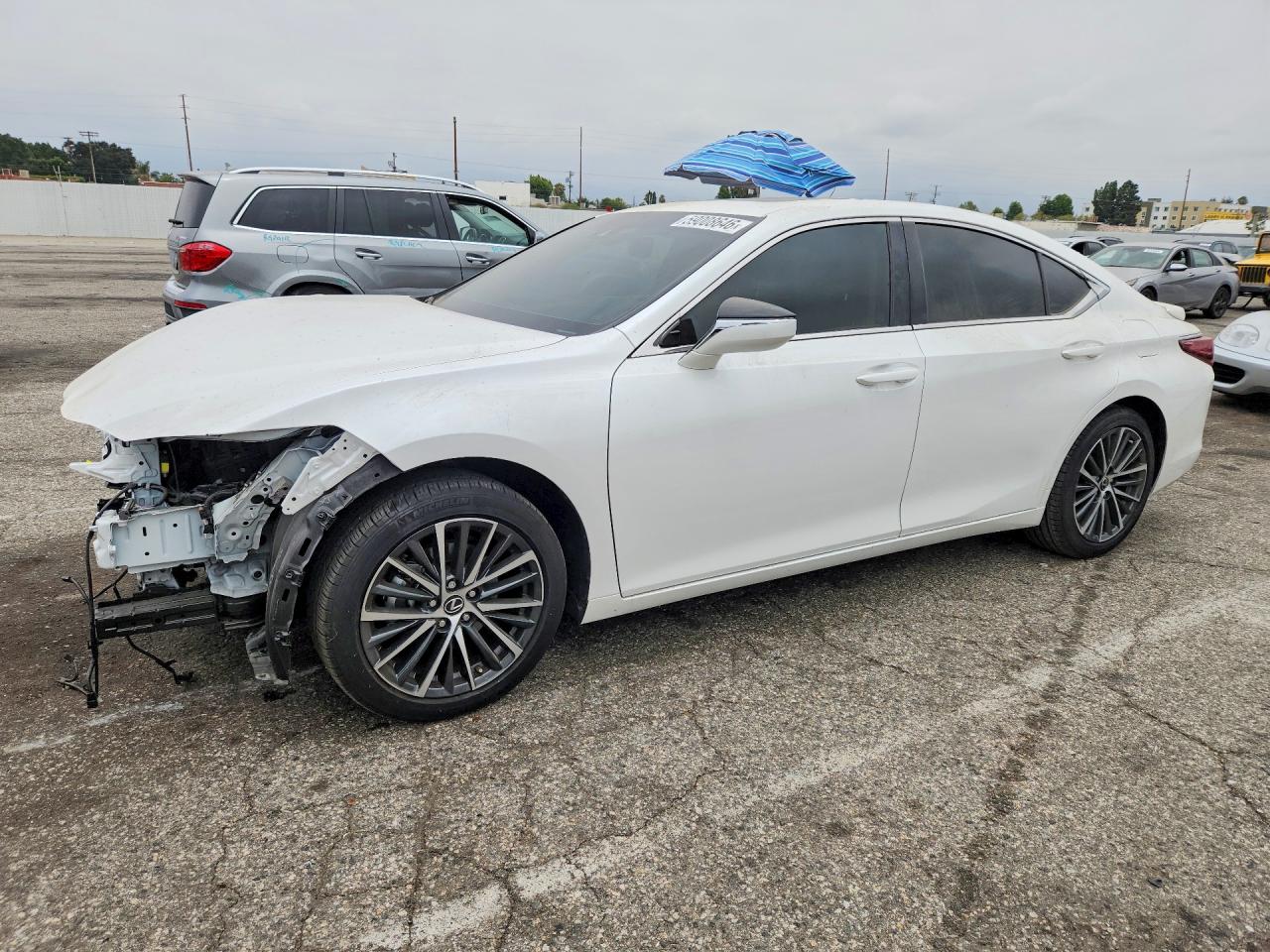 2025 LEXUS ES 300H