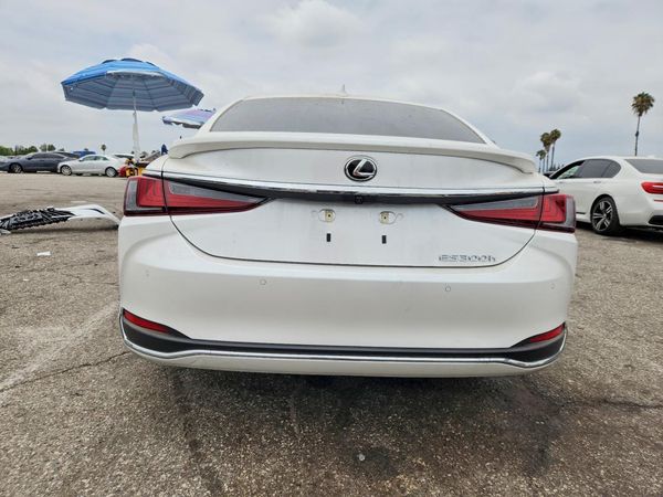 2025 LEXUS ES 300H