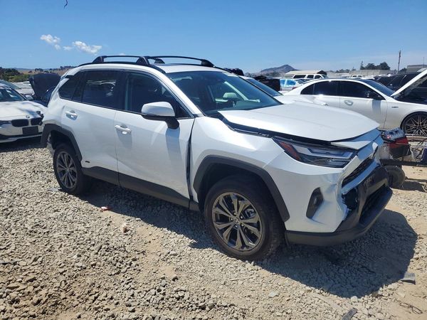 2025 TOYOTA RAV4 XLE Premium