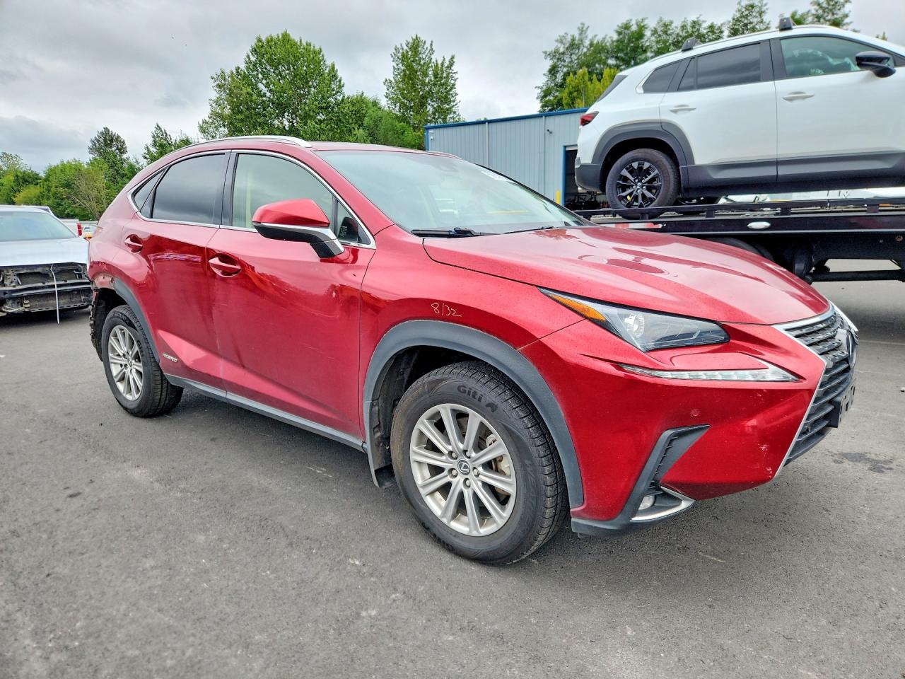 2020 LEXUS NX 300H Comfort