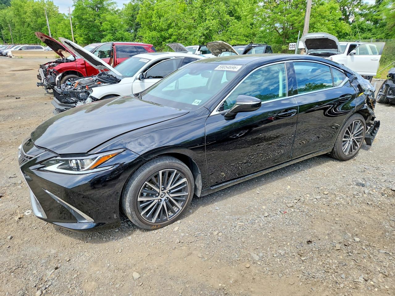 2024 LEXUS ES 350 350 Premium