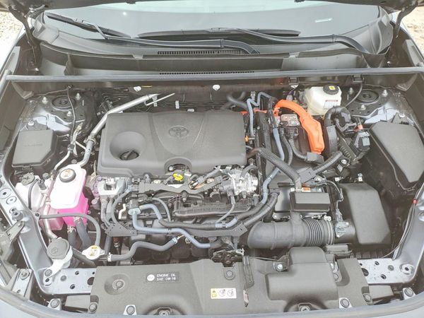 2025 TOYOTA RAV4 LE