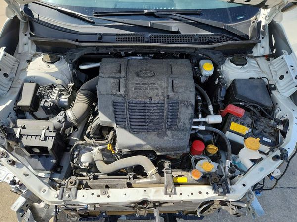2024 SUBARU FORESTER Limited