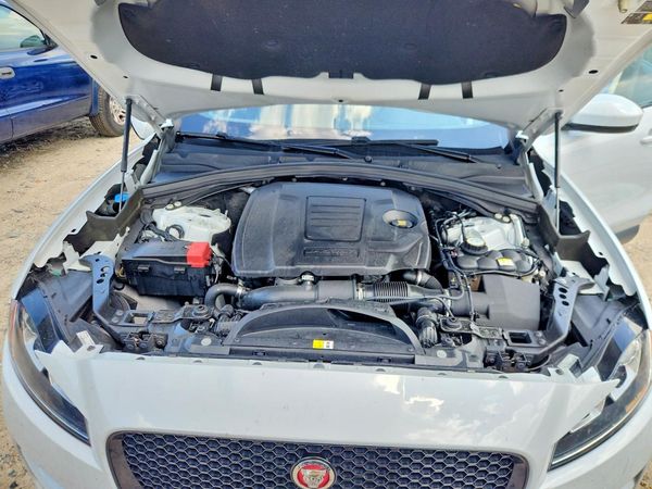 2019 JAGUAR F-PACE Prestige