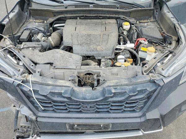 2025 SUBARU FORESTER Wilderness