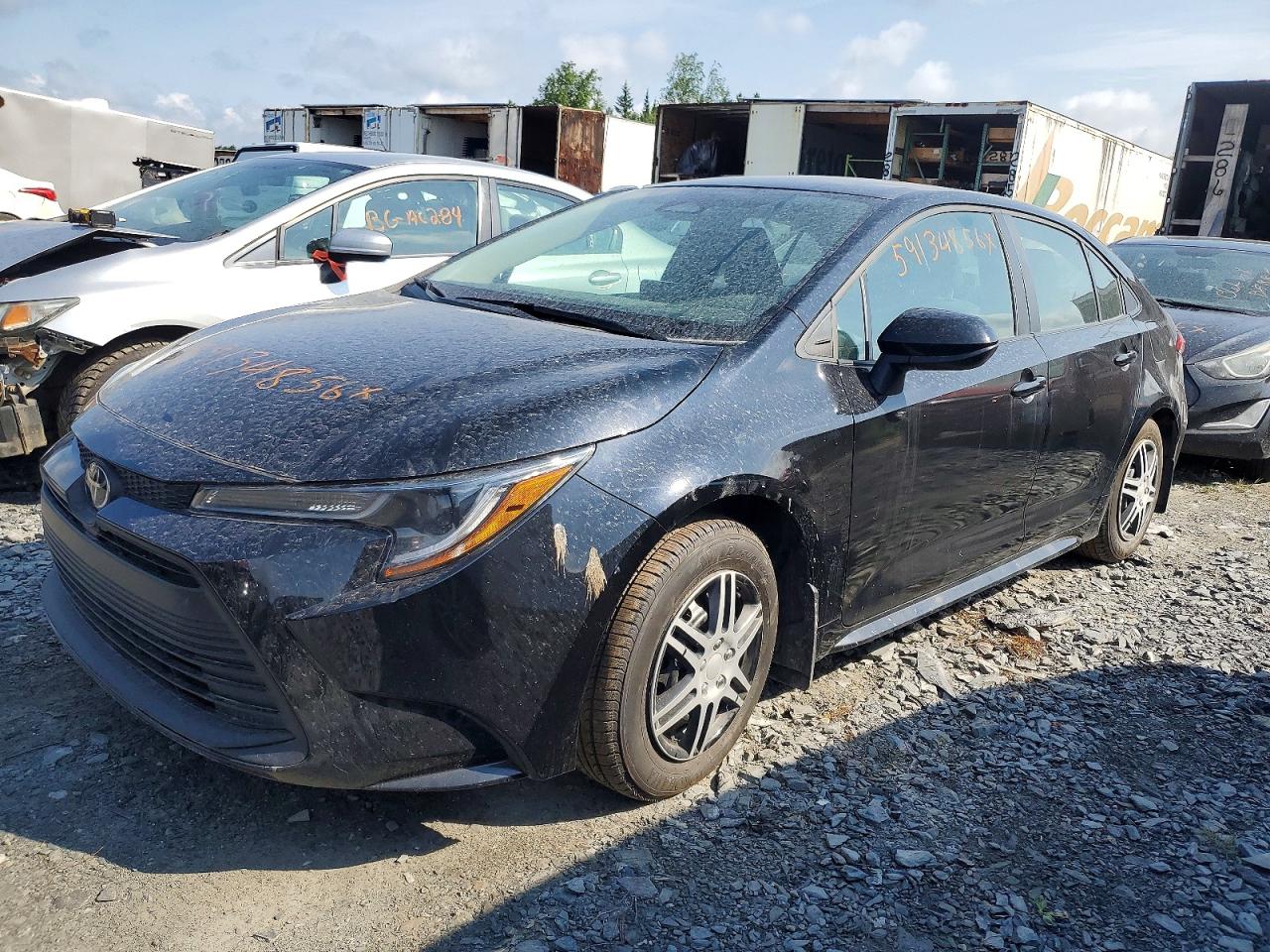 2024 TOYOTA COROLLA