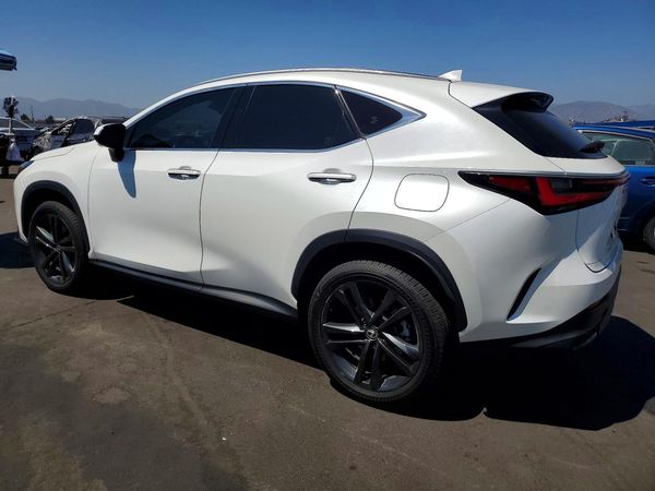 2024 LEXUS NX 450H+ 450h+ Luxury