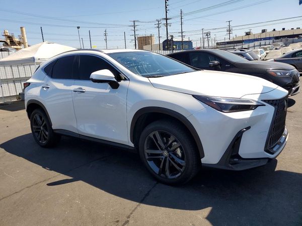 2024 LEXUS NX 450H+ 450h+ Luxury