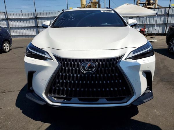 2024 LEXUS NX 450H+ 450h+ Luxury