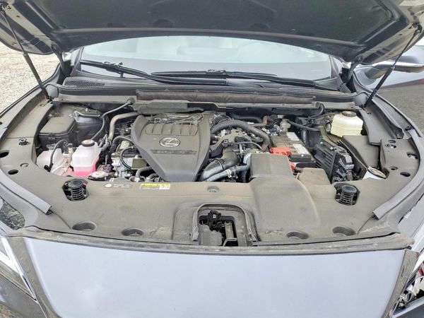 2026 LEXUS RX 350