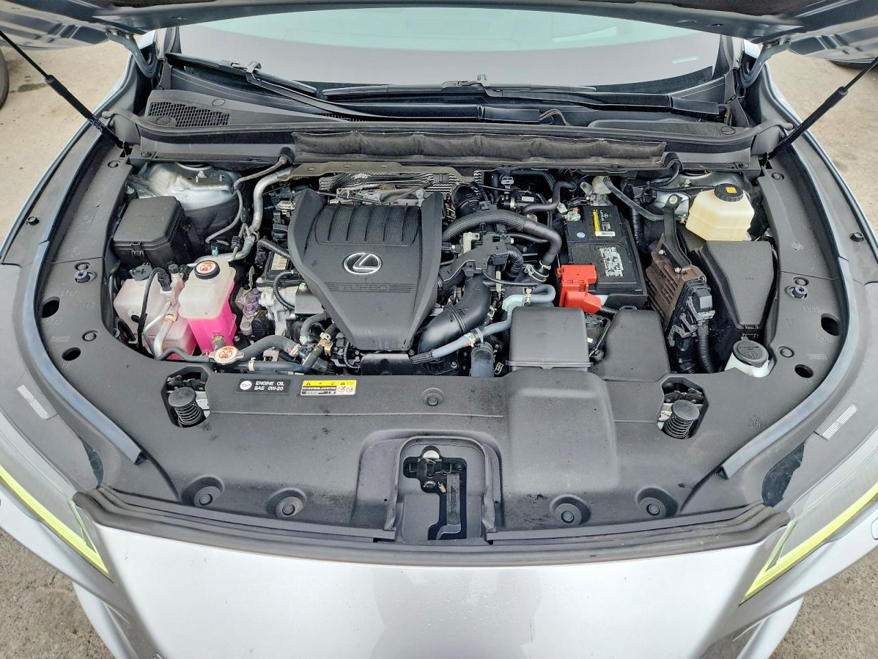 2024 LEXUS RX 350