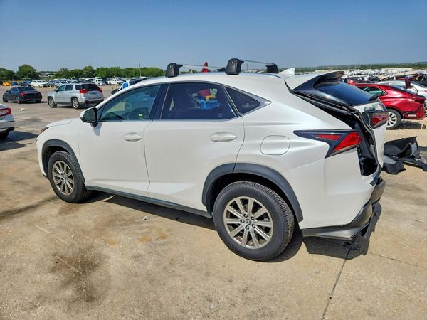 2019 LEXUS NX 300 300 Luxury
