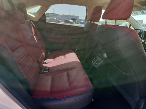 2019 LEXUS NX 300 300 Luxury