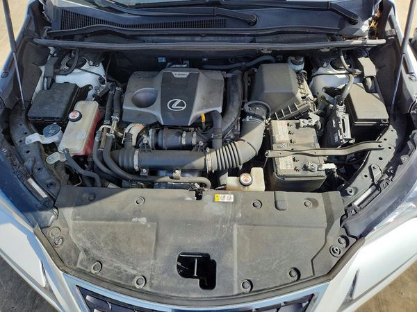 2019 LEXUS NX 300 300 Luxury