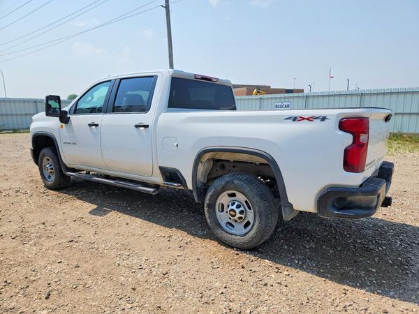 2024 CHEVROLET SILVERADO Work Truck