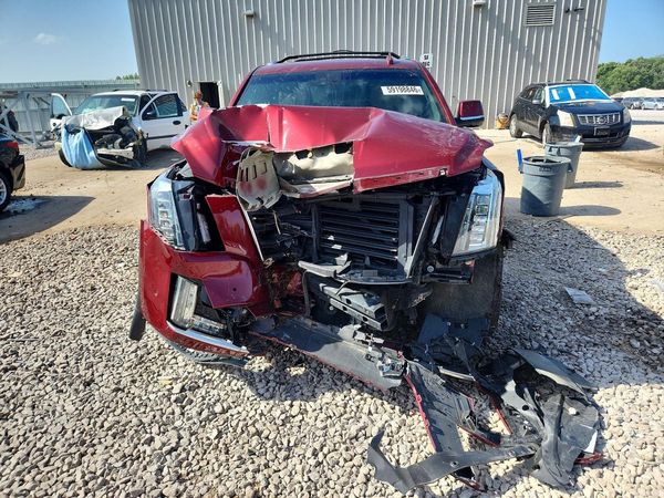 2019 CADILLAC ESCALADE Platinum — DIRF