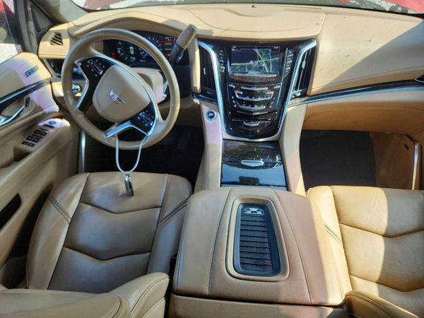2019 CADILLAC ESCALADE Platinum — CKPT