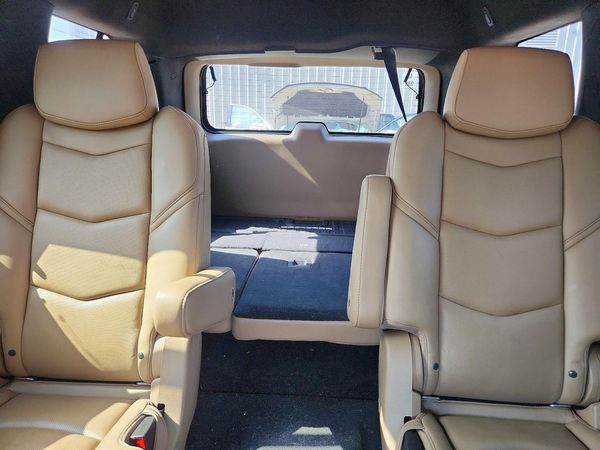 2019 CADILLAC ESCALADE Platinum — SUVN
