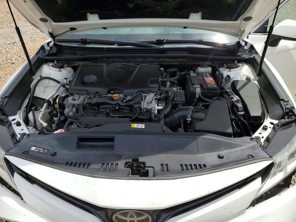 2019 TOYOTA CAMRY L/LE/SE/XLE — Engine bay