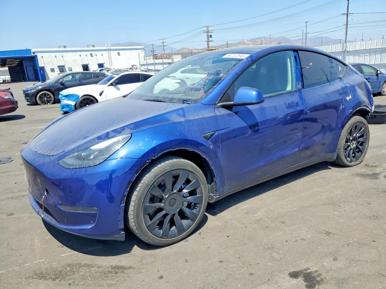 2024 TESLA MODEL Y