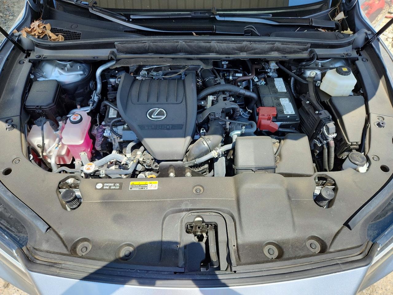 2024 LEXUS RX 350