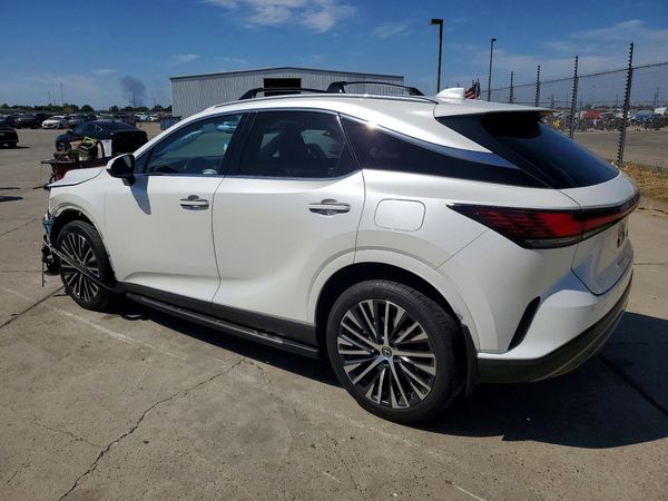 2025 LEXUS RX 350