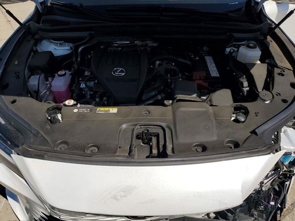 2025 LEXUS RX 350