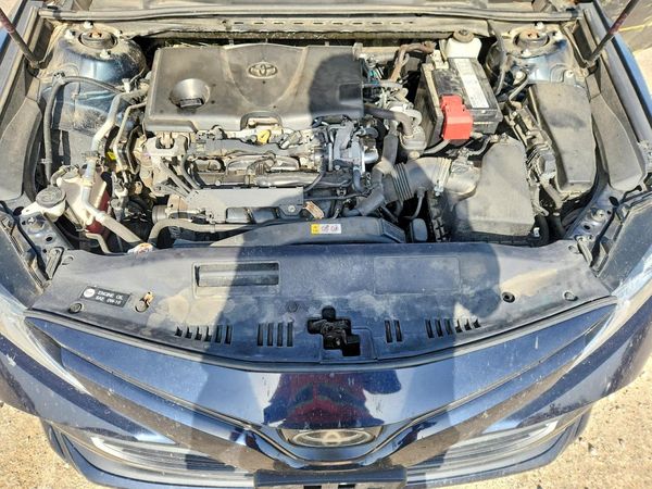 2019 TOYOTA CAMRY L/LE/SE/XLE
