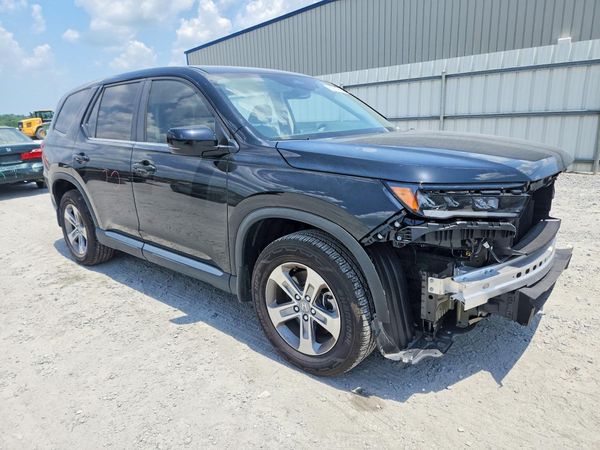 2025 HONDA PILOT EX-L, EX-L HPD
