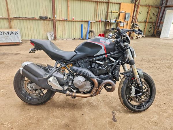 2020 DUCATI MONSTER