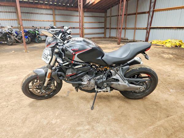 2020 DUCATI MONSTER