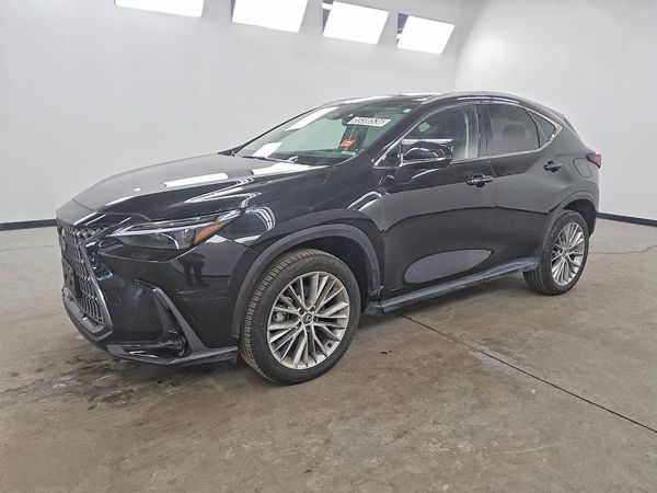 2024 LEXUS NX — DSFA — Front 3/4