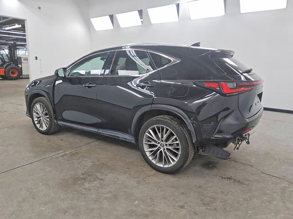 2024 LEXUS NX 350 Luxury — DSRA
