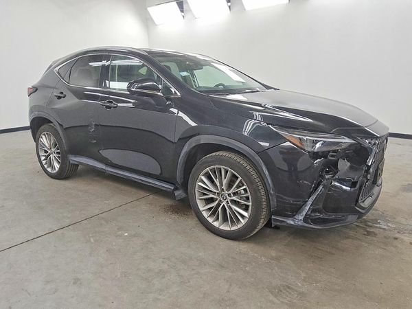 2024 LEXUS NX 350 Luxury — Passenger 3/4