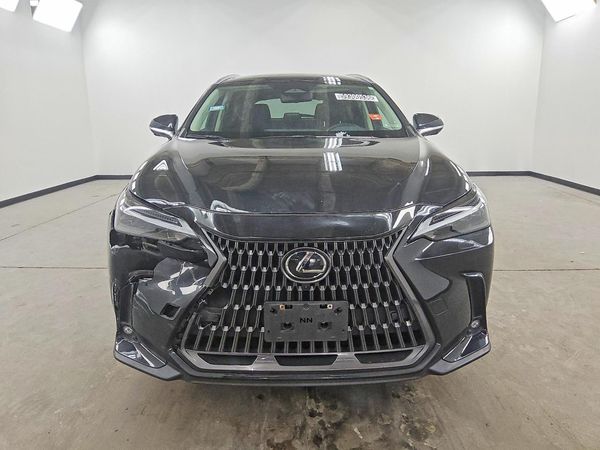2024 LEXUS NX 350 Luxury — DIRF