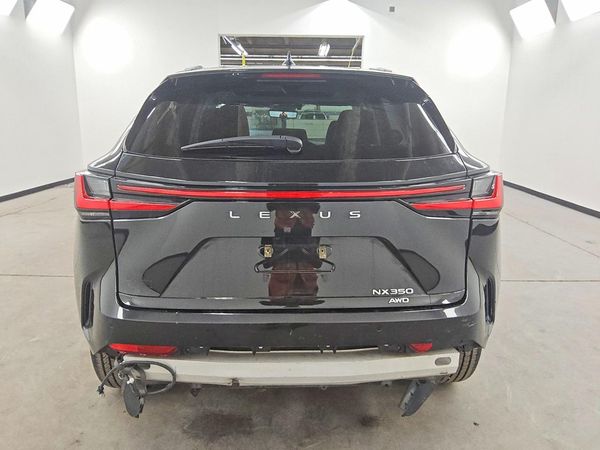 2024 LEXUS NX 350 Luxury — DIRR