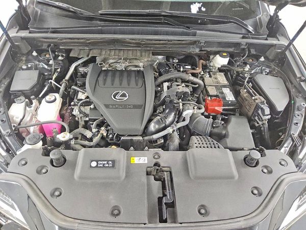 2024 LEXUS NX 350 Luxury — Engine bay
