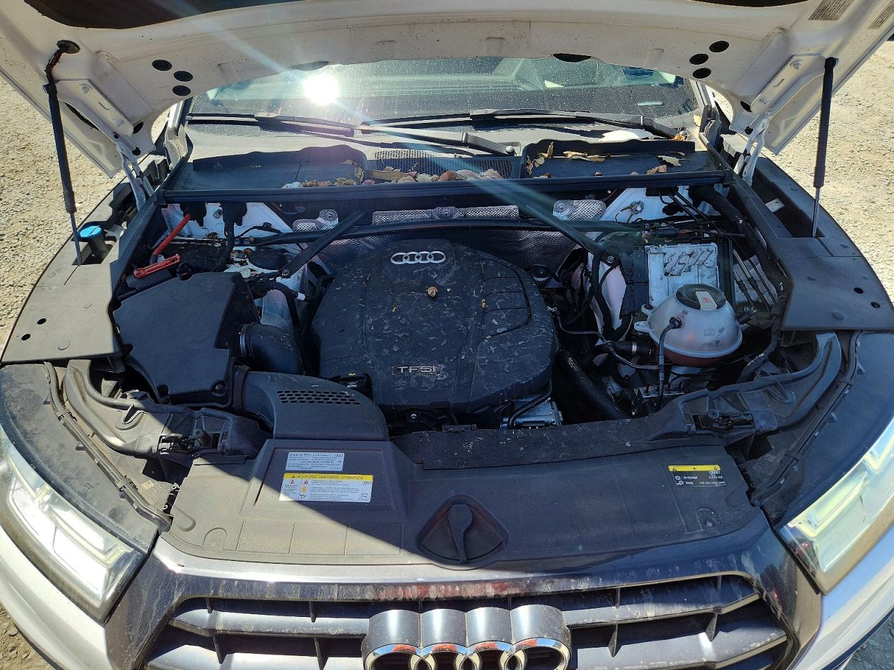 2019 AUDI Q5 quattro Prestige