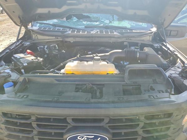 2025 FORD F150 STX
