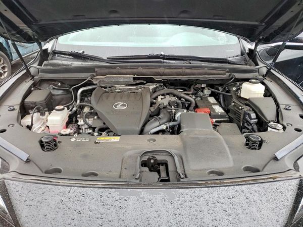 2024 LEXUS RX 350