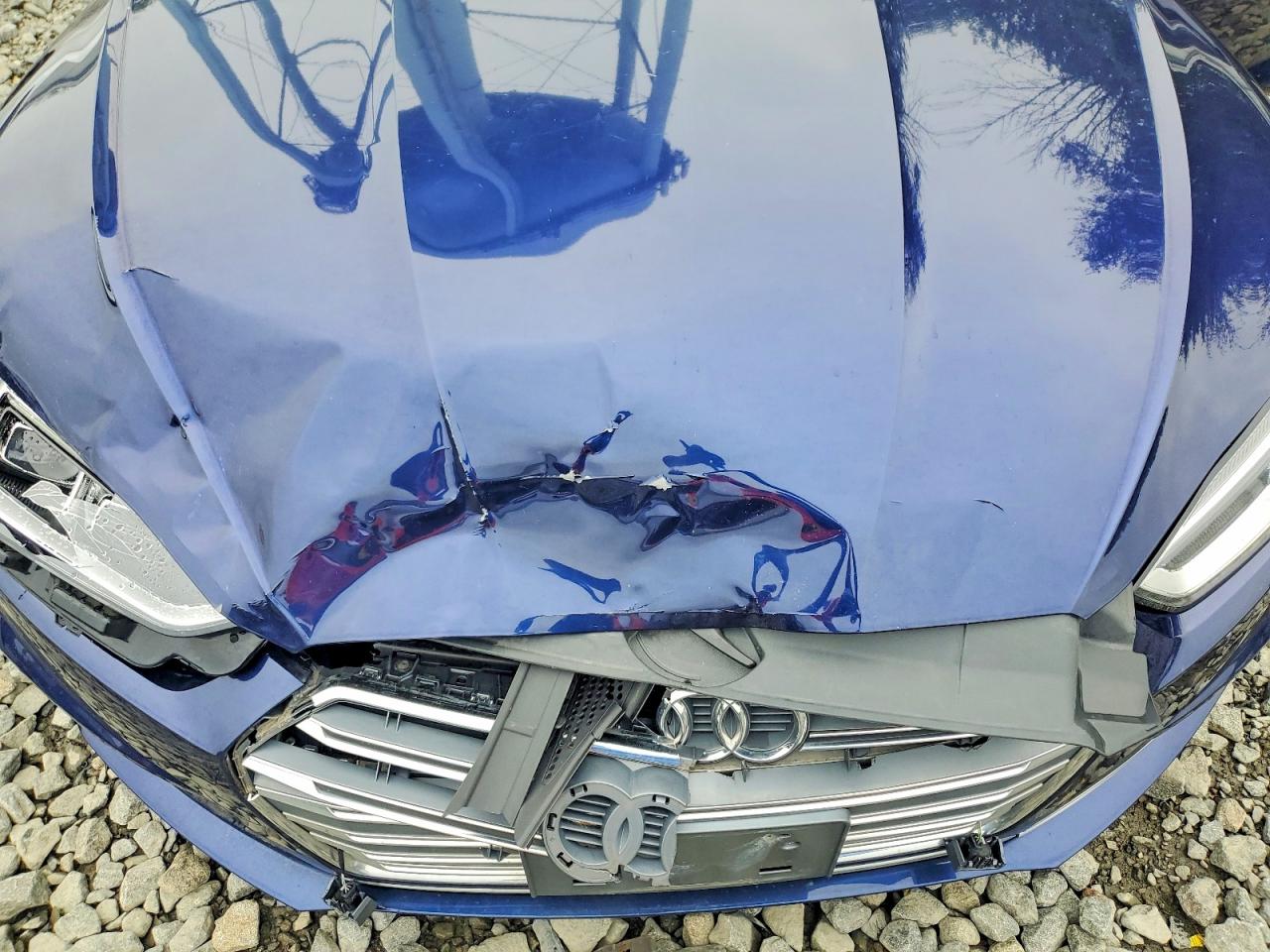 2019 AUDI S5 quattro Premium Plus