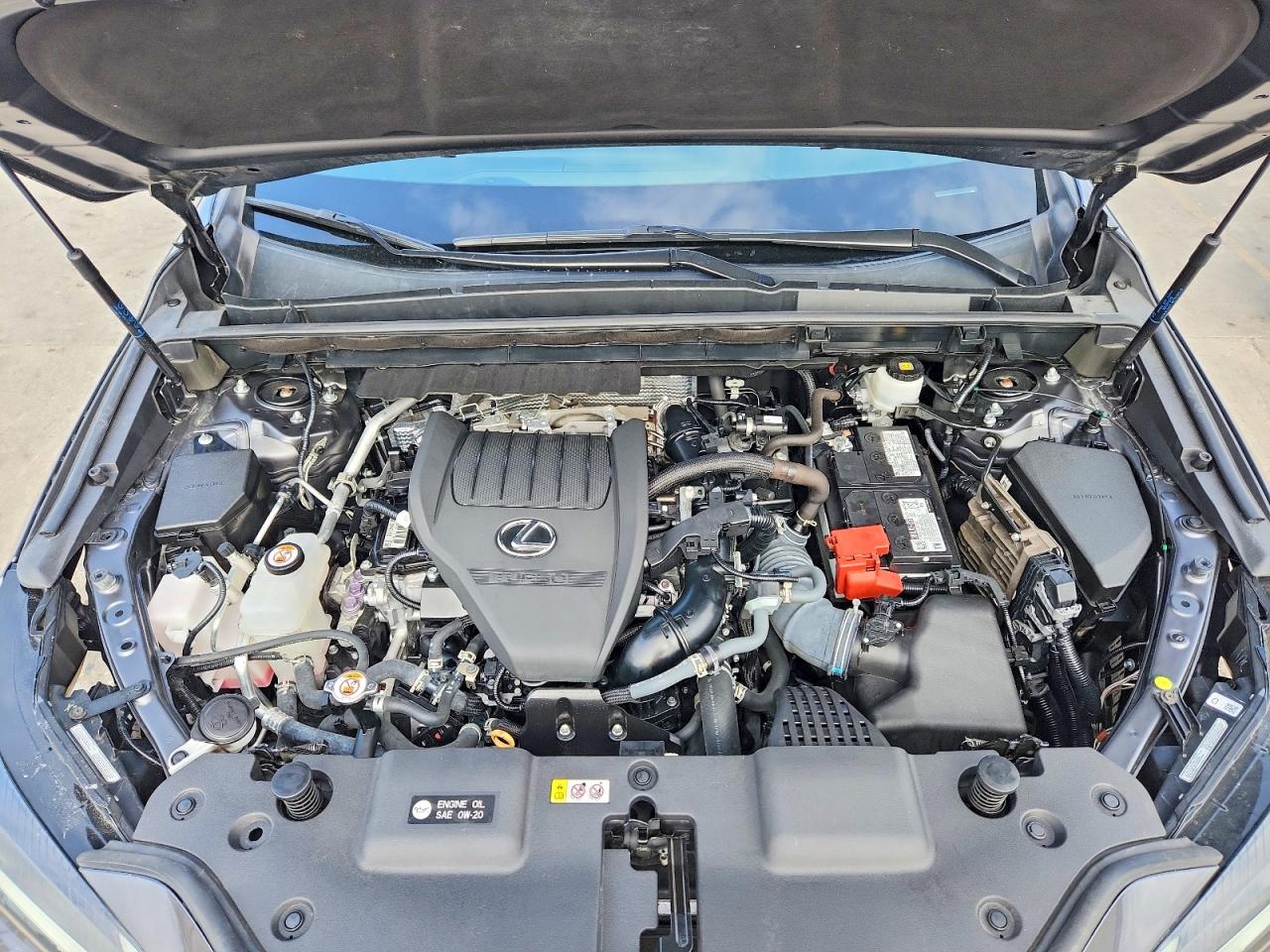 2024 LEXUS NX 350 350 Base