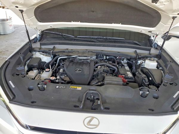 2024 LEXUS TX 350